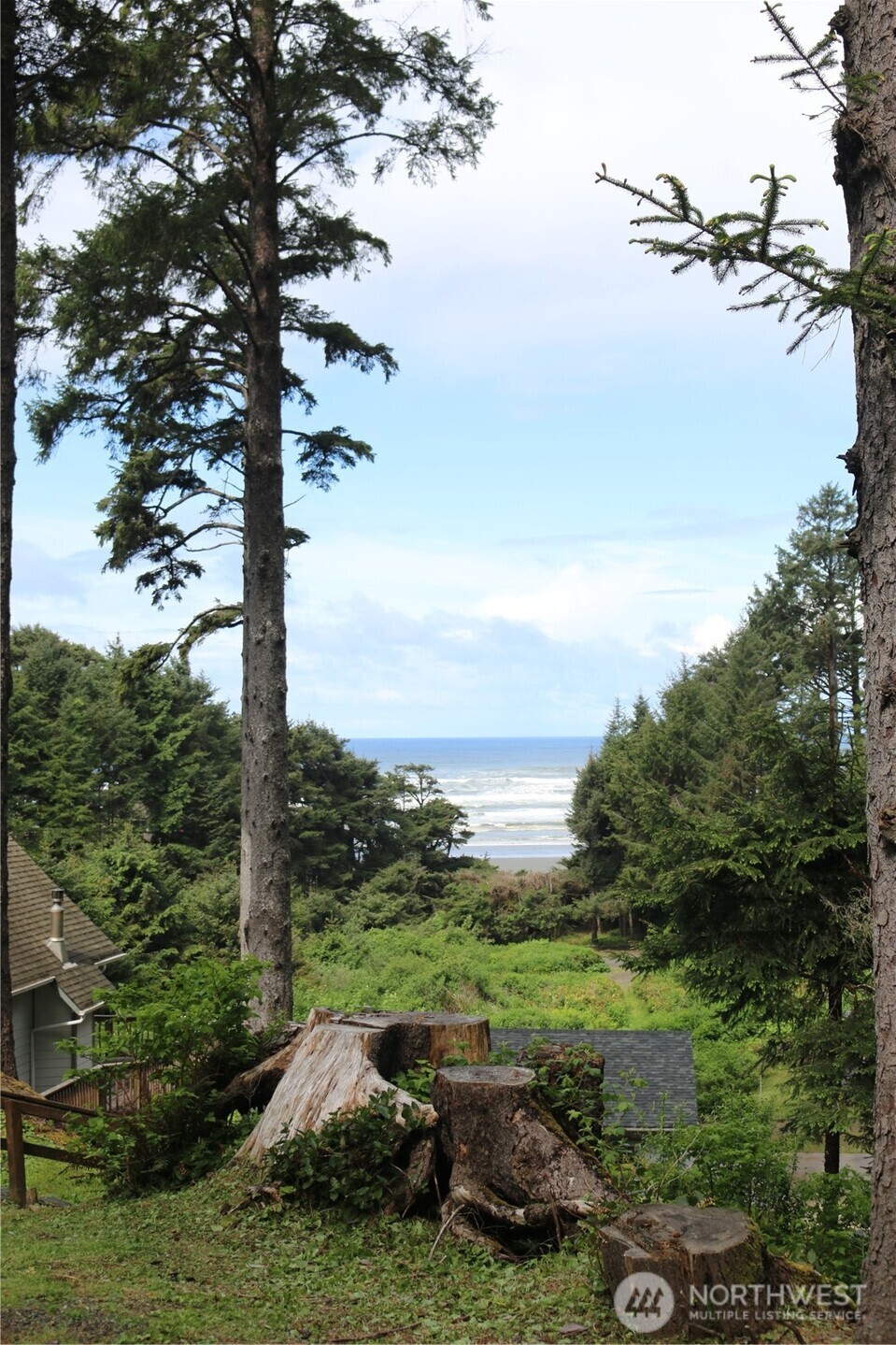 65 Marilyn Lane Copalis Beach WA 98535