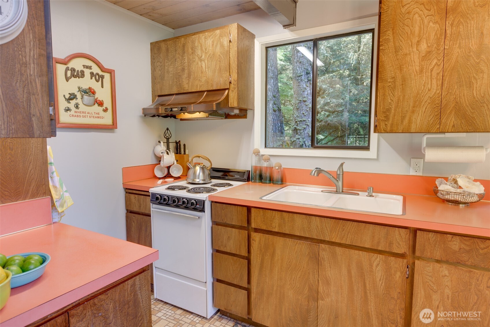 65 Marilyn Lane Copalis Beach WA 98535