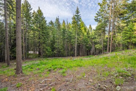 451 Aspen Springs Road Cle Elum WA 98922