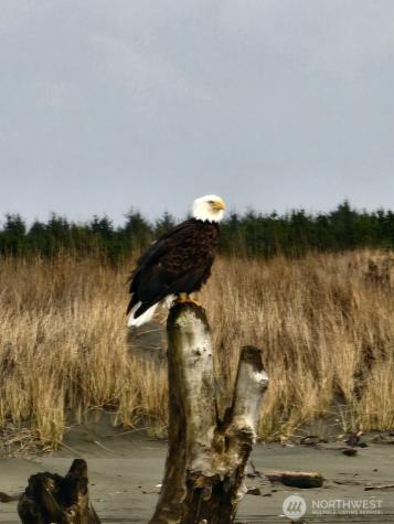 1269 Storm King Avenue SW Ocean Shores WA 98569