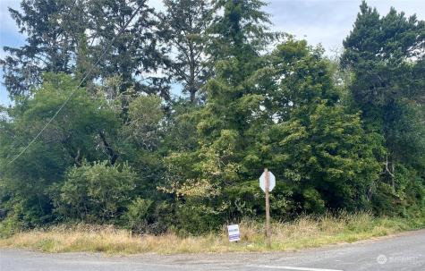 24505 P Street Ocean Park WA 98640