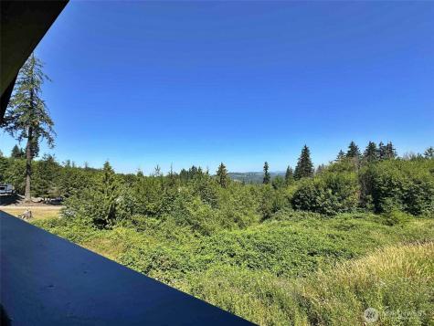 213 Tanglewood Drive Mossyrock WA 98564