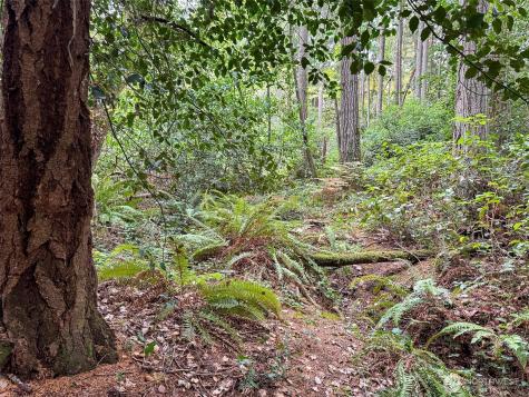 4700 & 4740 Rose Avenue NE Bainbridge Island WA 98110