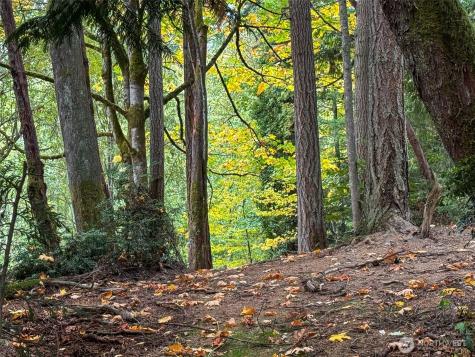 4700 & 4740 Rose Avenue NE Bainbridge Island WA 98110