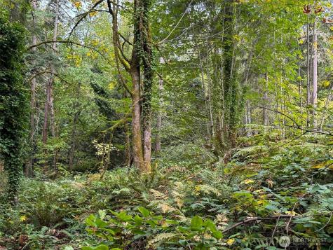 4700 & 4740 Rose Avenue NE Bainbridge Island WA 98110