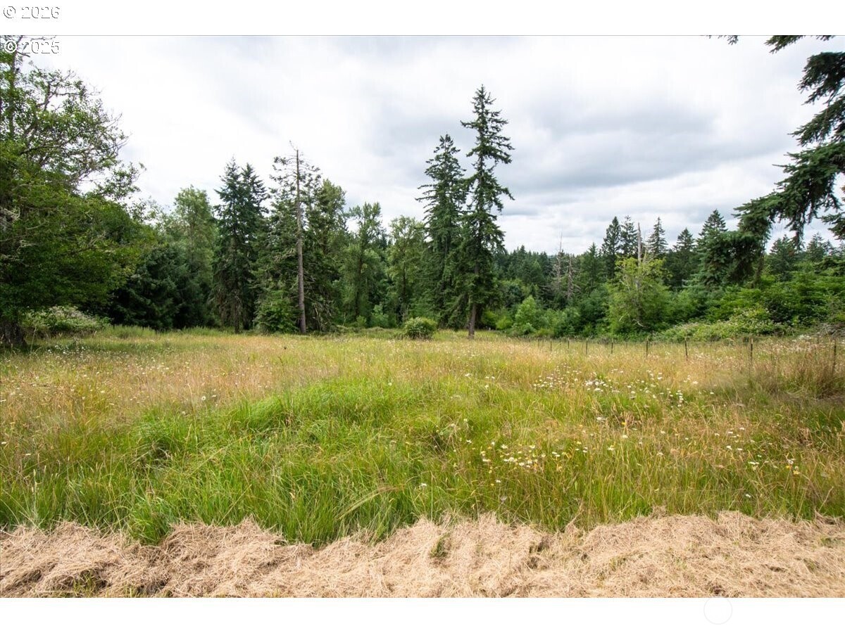 1415 Sightly Road Toutle WA 98649