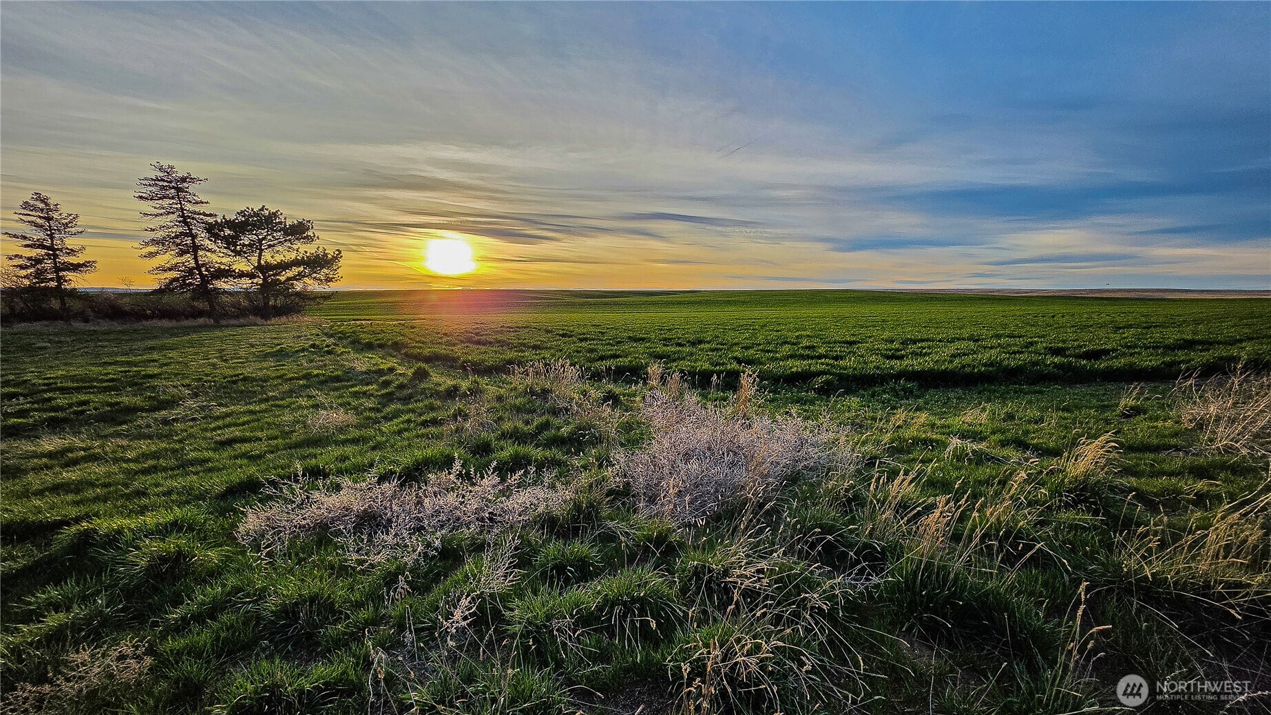 101 Us Highway 2 Waterville WA 98858
