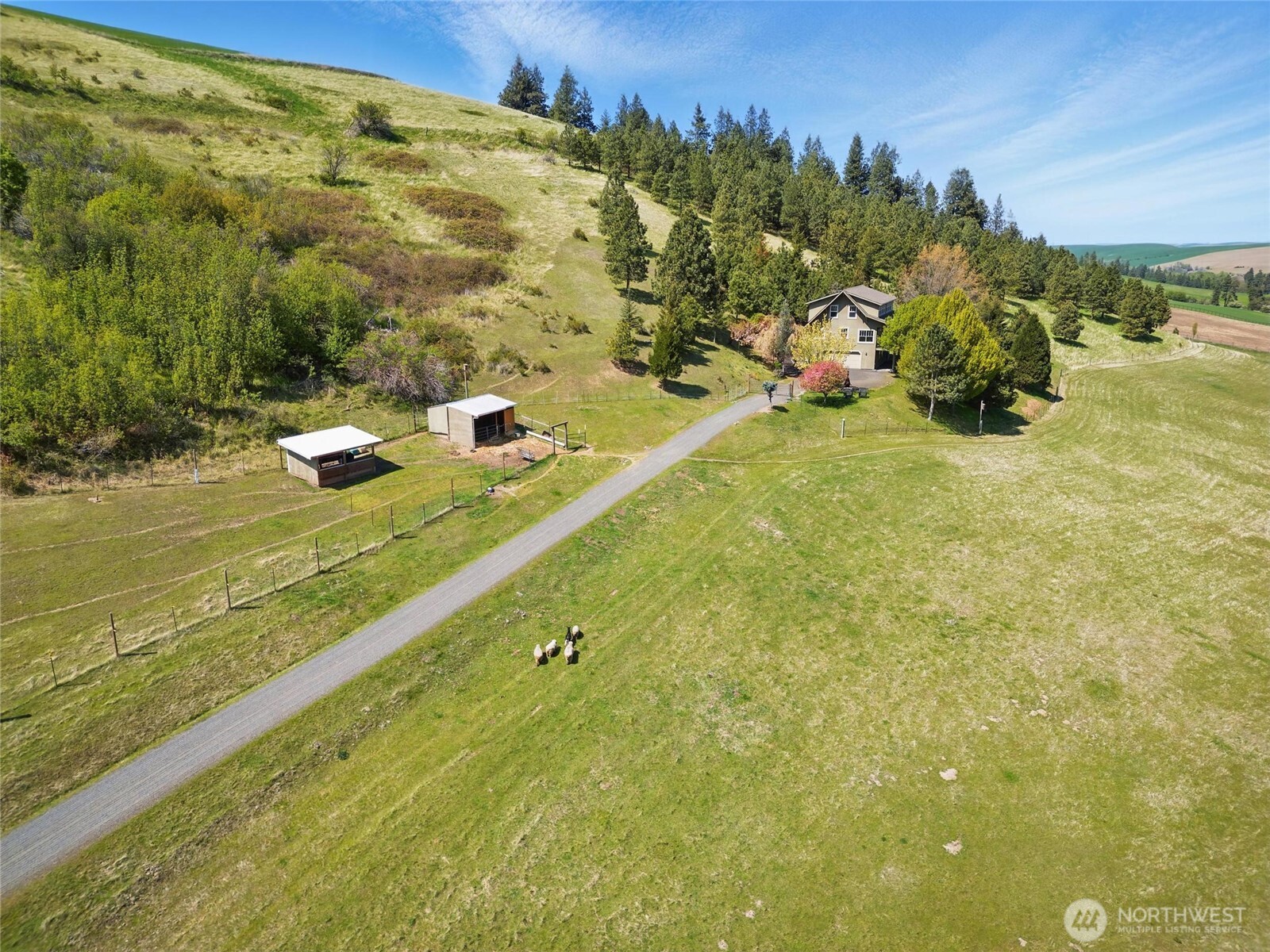 469 Tag Lane Walla Walla WA 99362