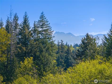 508 Heron Walk SE Sammamish WA 98074