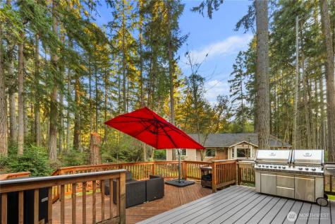10405 Olympic Place Anderson Island WA 98303
