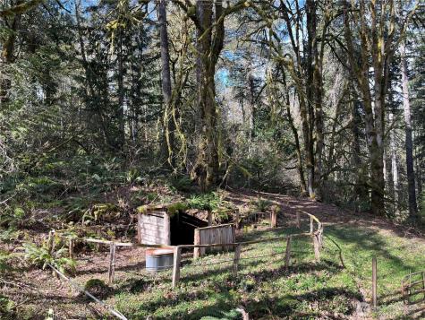4806 Sunrise Beach Road NW Olympia WA 98502
