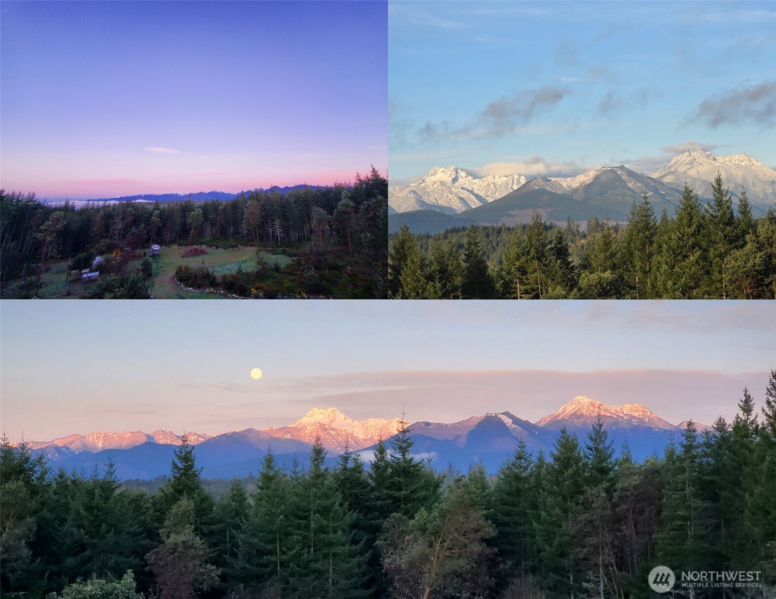 83 Octopus Court Quilcene WA 98376