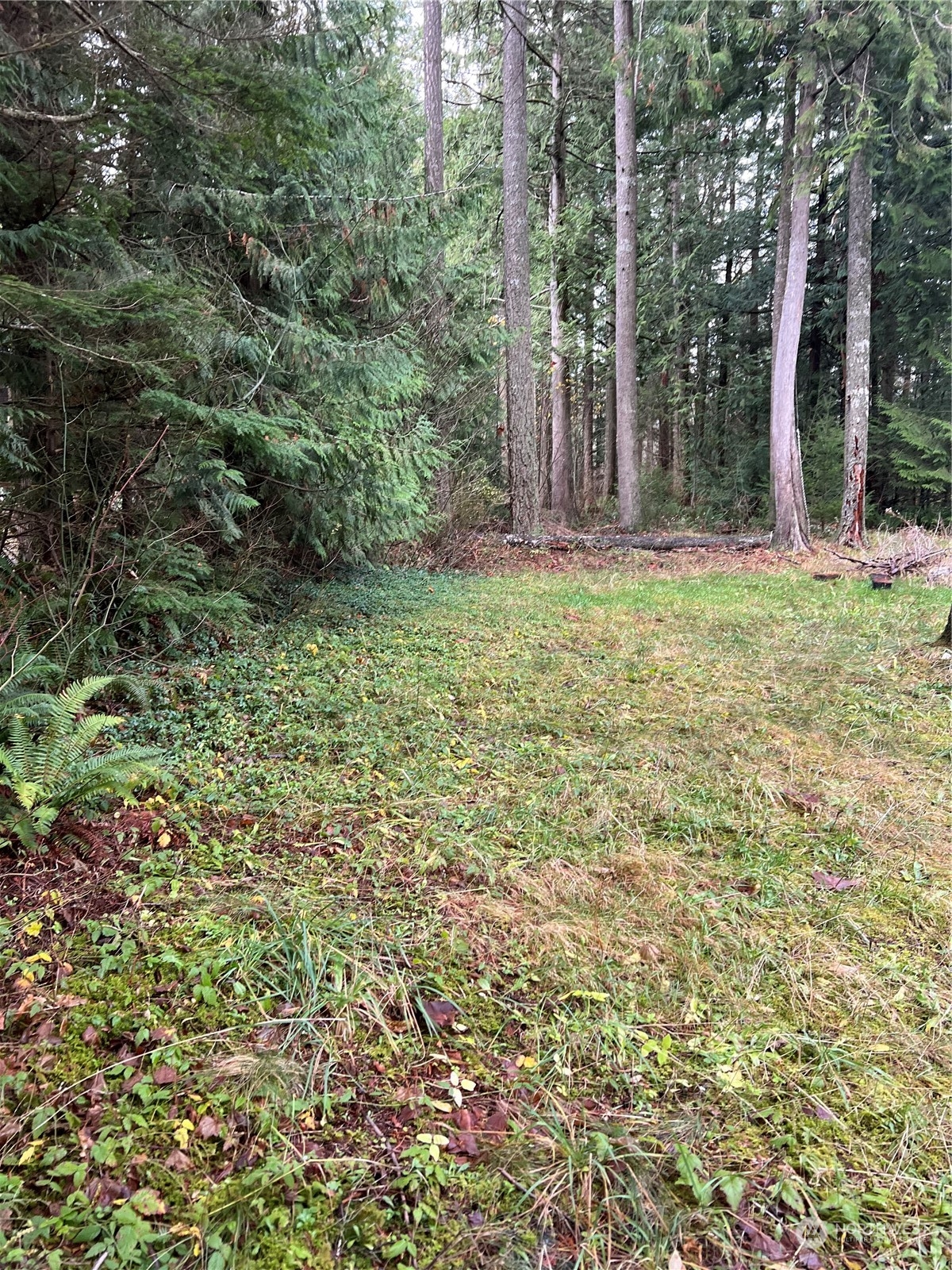 901 Ruby Valley Court Maple Falls WA 98266