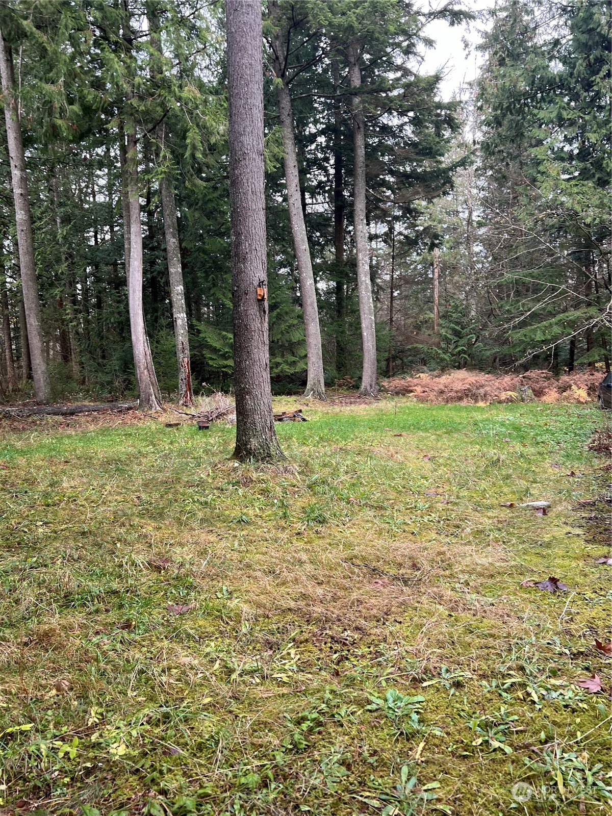 901 Ruby Valley Court Maple Falls WA 98266