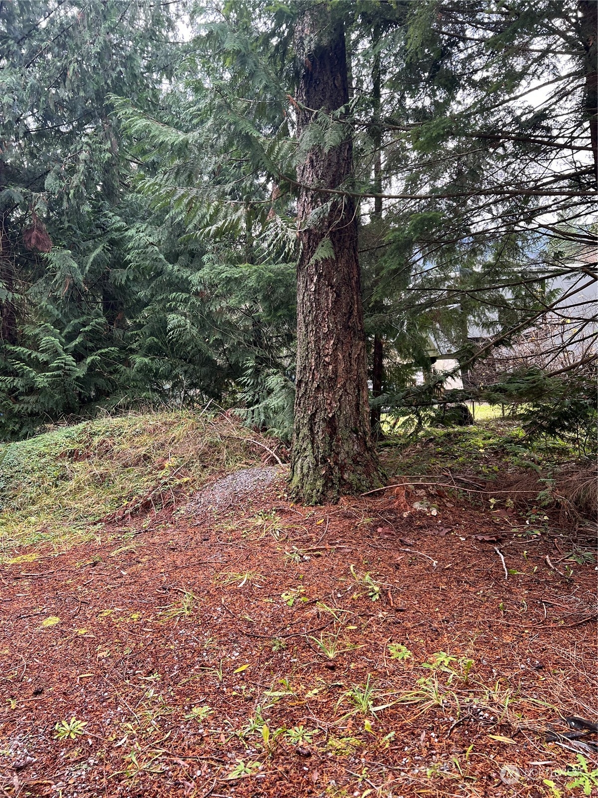 901 Ruby Valley Court Maple Falls WA 98266