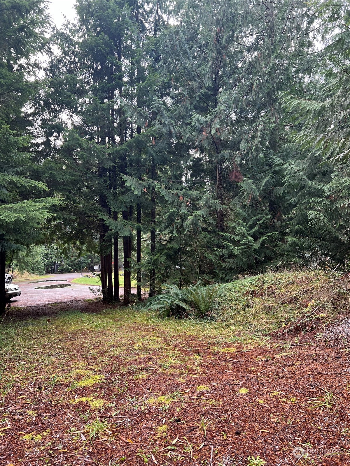 901 Ruby Valley Court Maple Falls WA 98266
