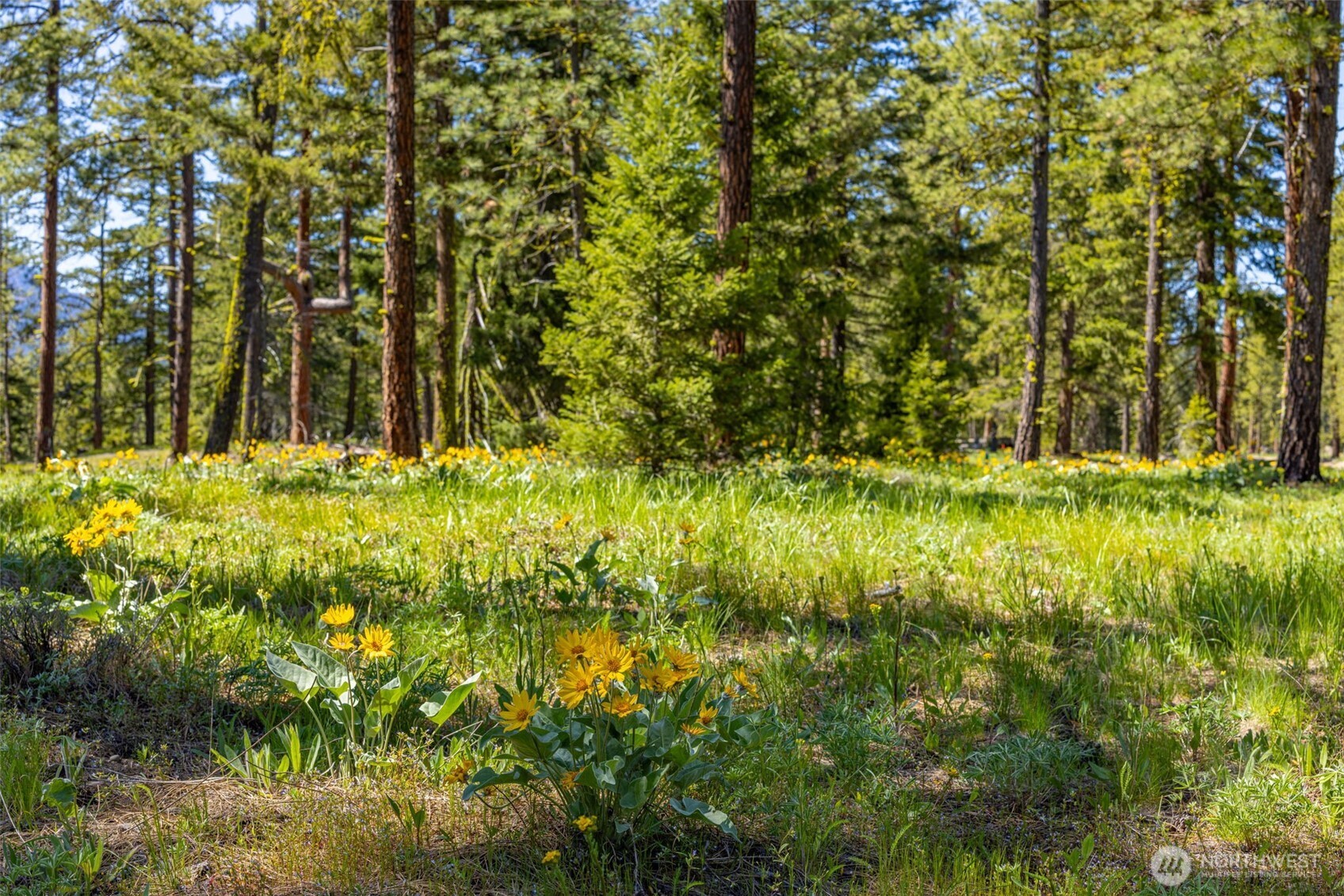 161 Plateau Loop Cle Elum WA 98922