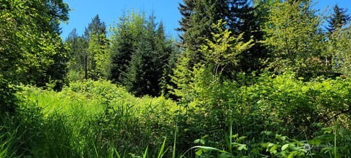 825 99th Avenue SE Lake Stevens WA 98258