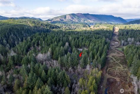 150 N Beaver Drive Hoodsport WA 98548