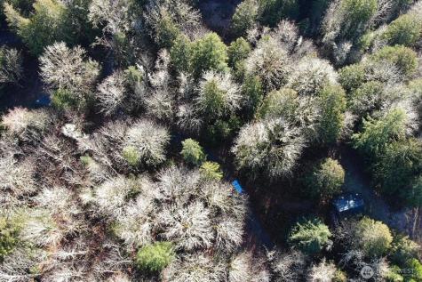 12280 Center Road Quilcene WA 98376