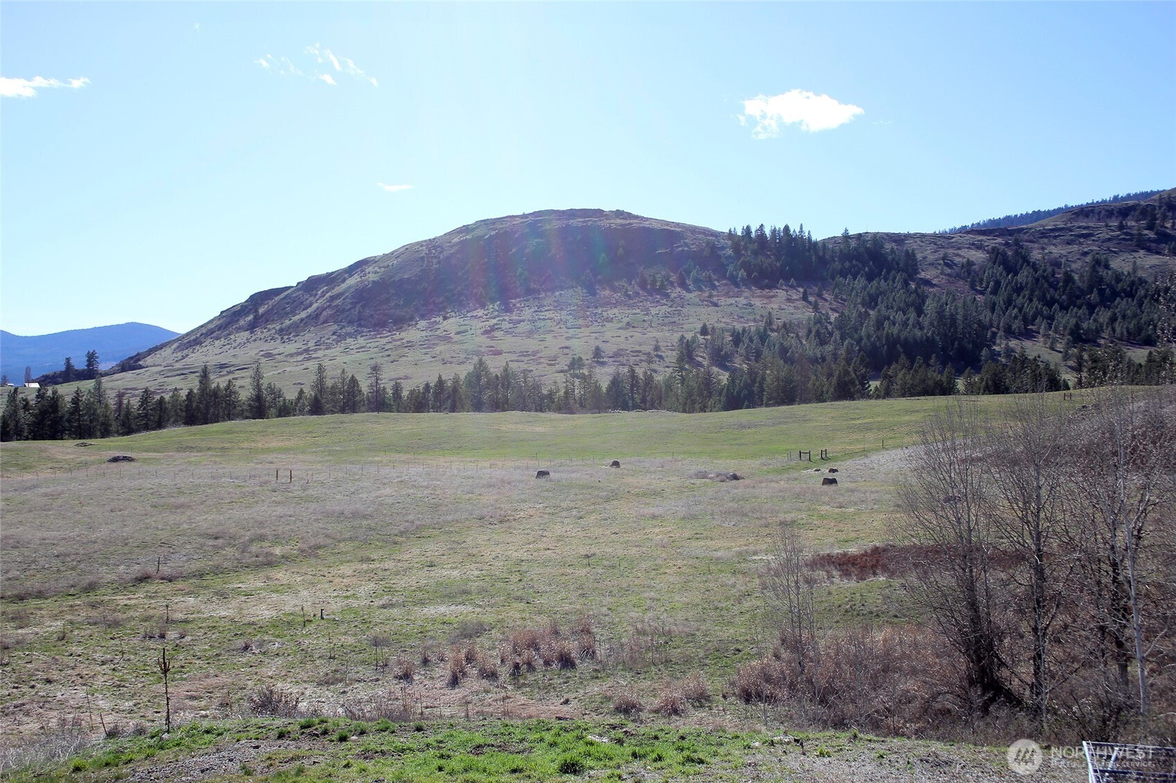 299 Vulcan Mountain Road Curlew WA 99118