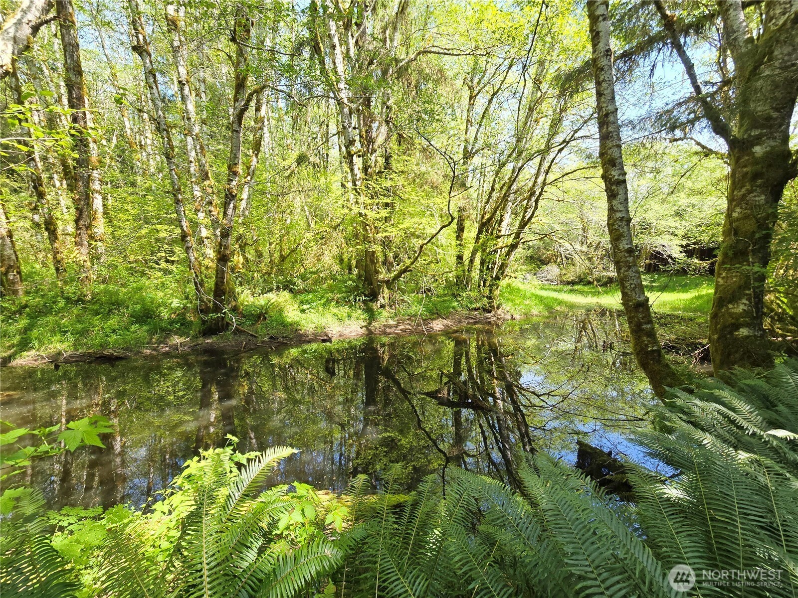 Forks WA 98331