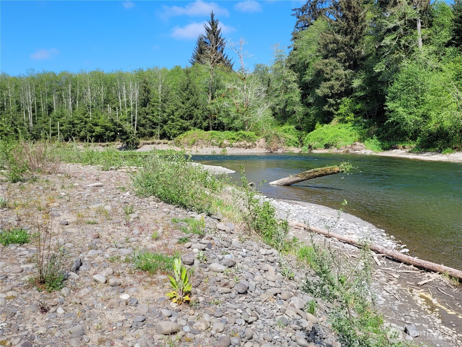 Forks WA 98331