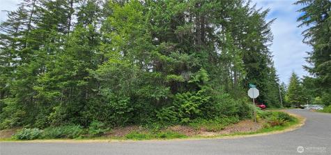 21 E Cromarty Court Shelton WA 98584