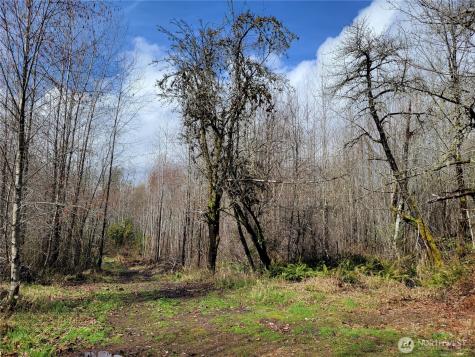 1840 W Deegan Road W Shelton WA 98584