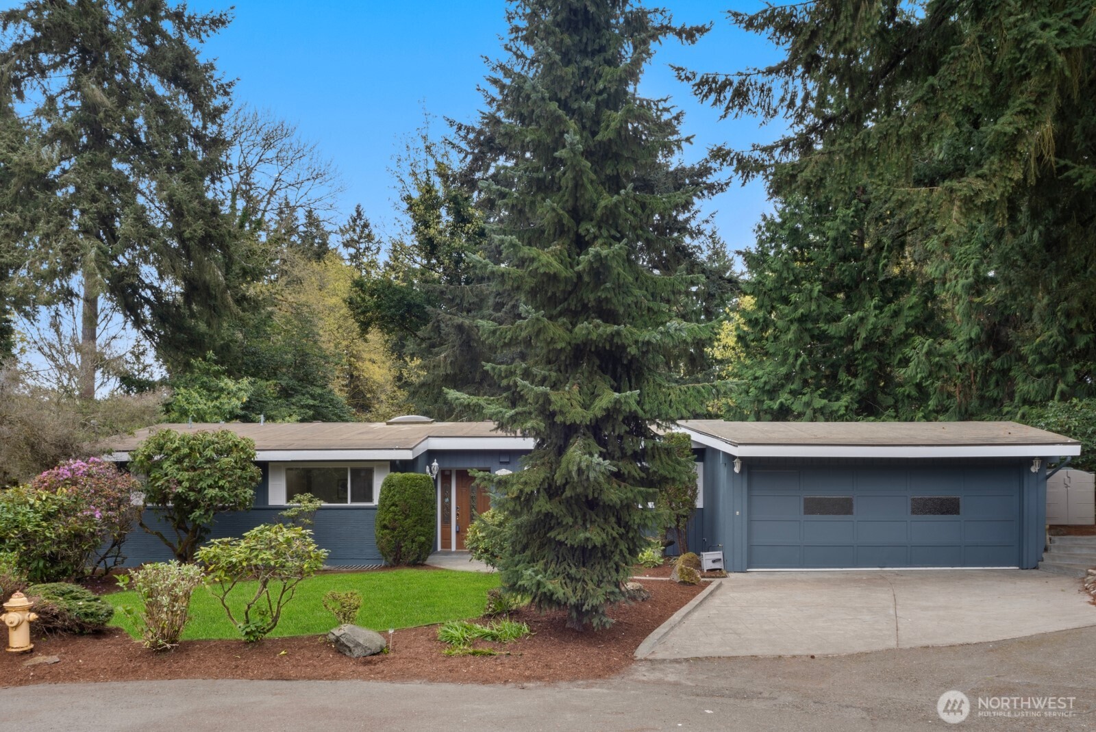 11653 SE 49th Street Bellevue WA 98006