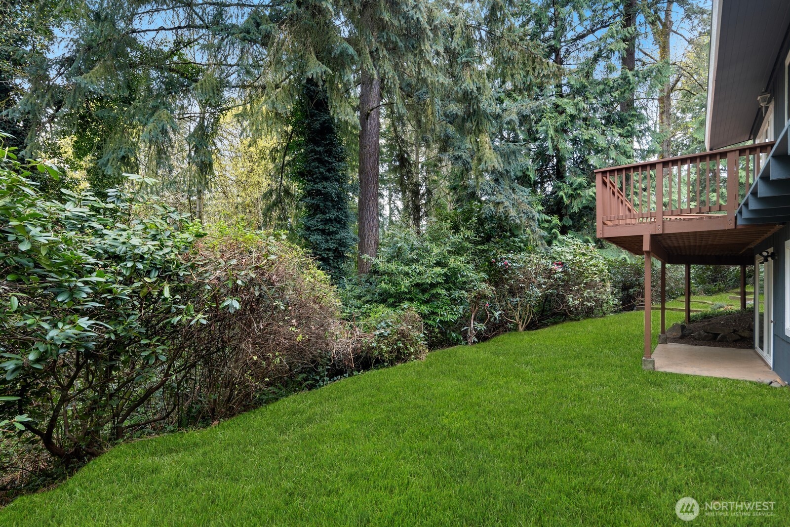11653 SE 49th Street Bellevue WA 98006