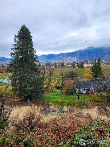 917 Lower Joe Creek Road Manson WA 98831