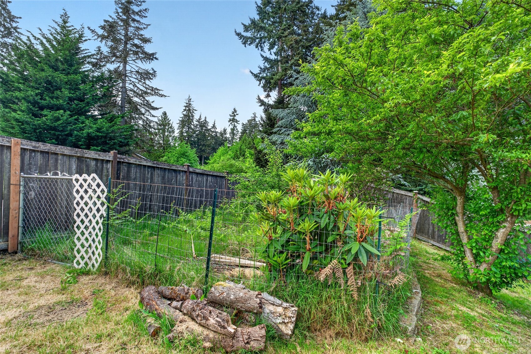 12623 123rd Avenue E Puyallup WA 98374