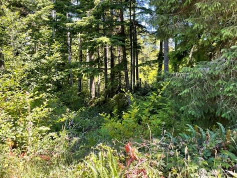 28220 Z Lane Ocean Park WA 98640