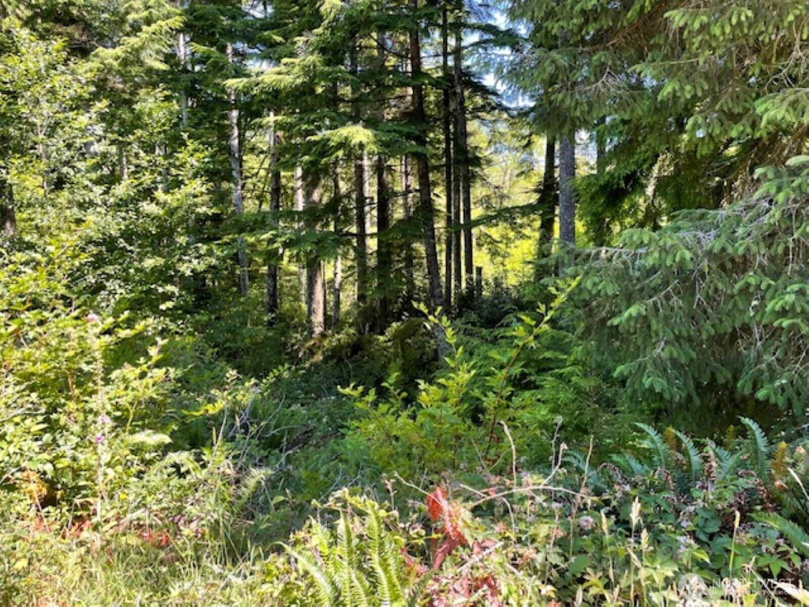 28220 Z Lane Ocean Park WA 98640