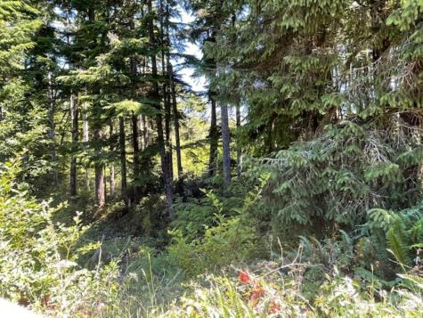 28220 Z Lane Ocean Park WA 98640