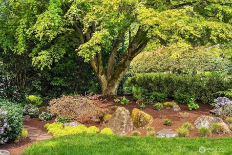 12345 SE 23rd Place Bellevue WA 98005