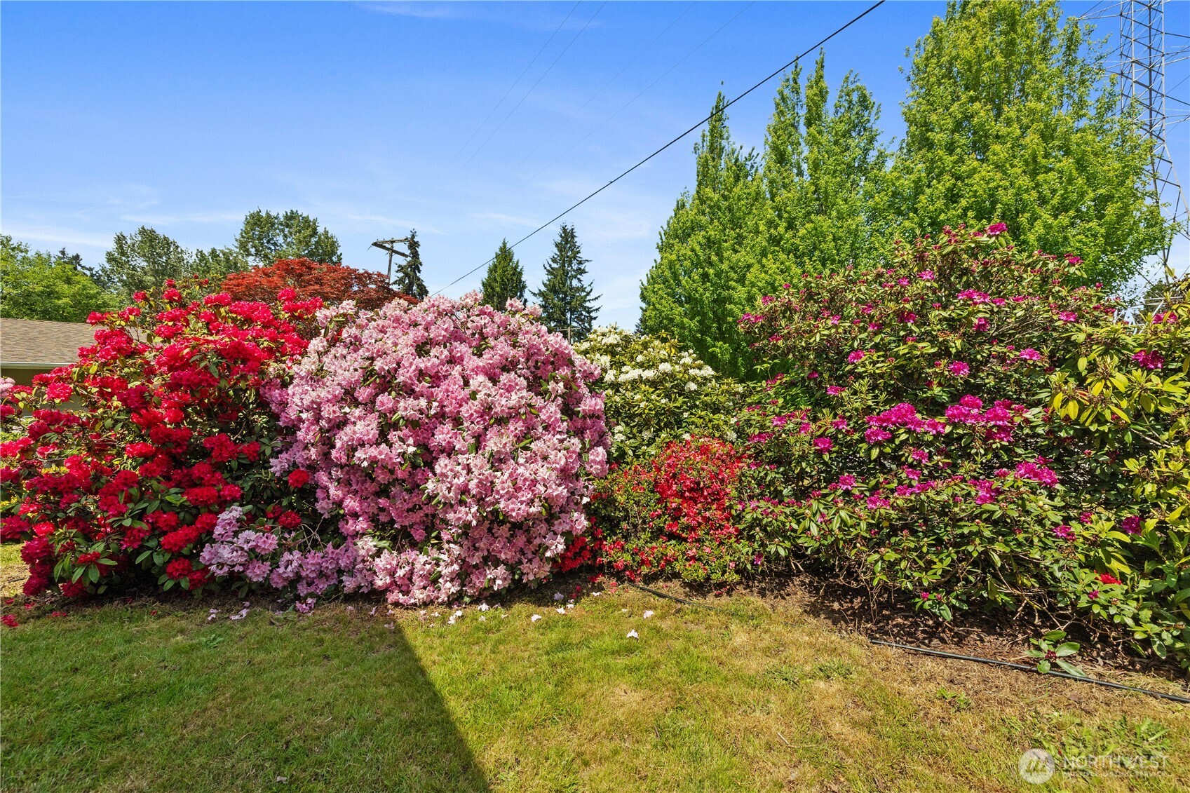 12307 SE 74th Street Newcastle WA 98056