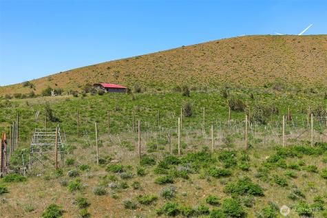 1522 Deer Valley Drive Ellensburg WA 98926