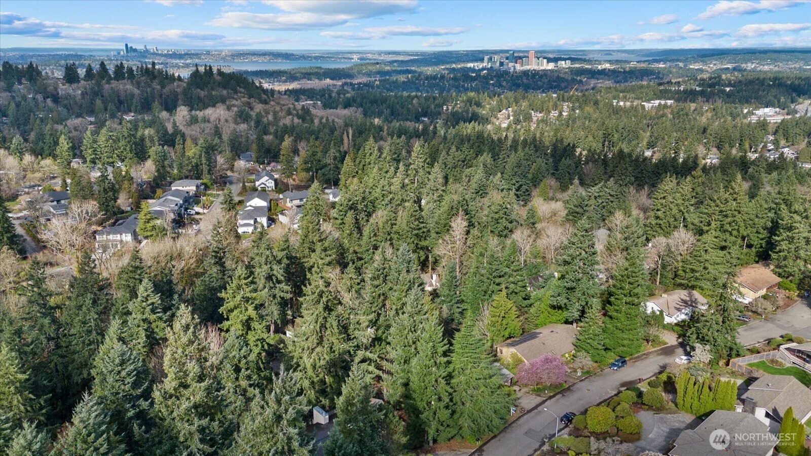 4529 153rd Avenue SE Bellevue WA 98006