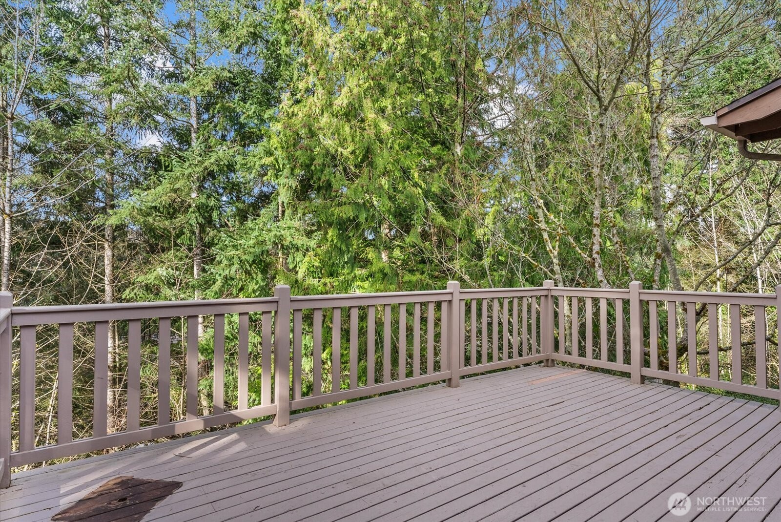 4529 153rd Avenue SE Bellevue WA 98006