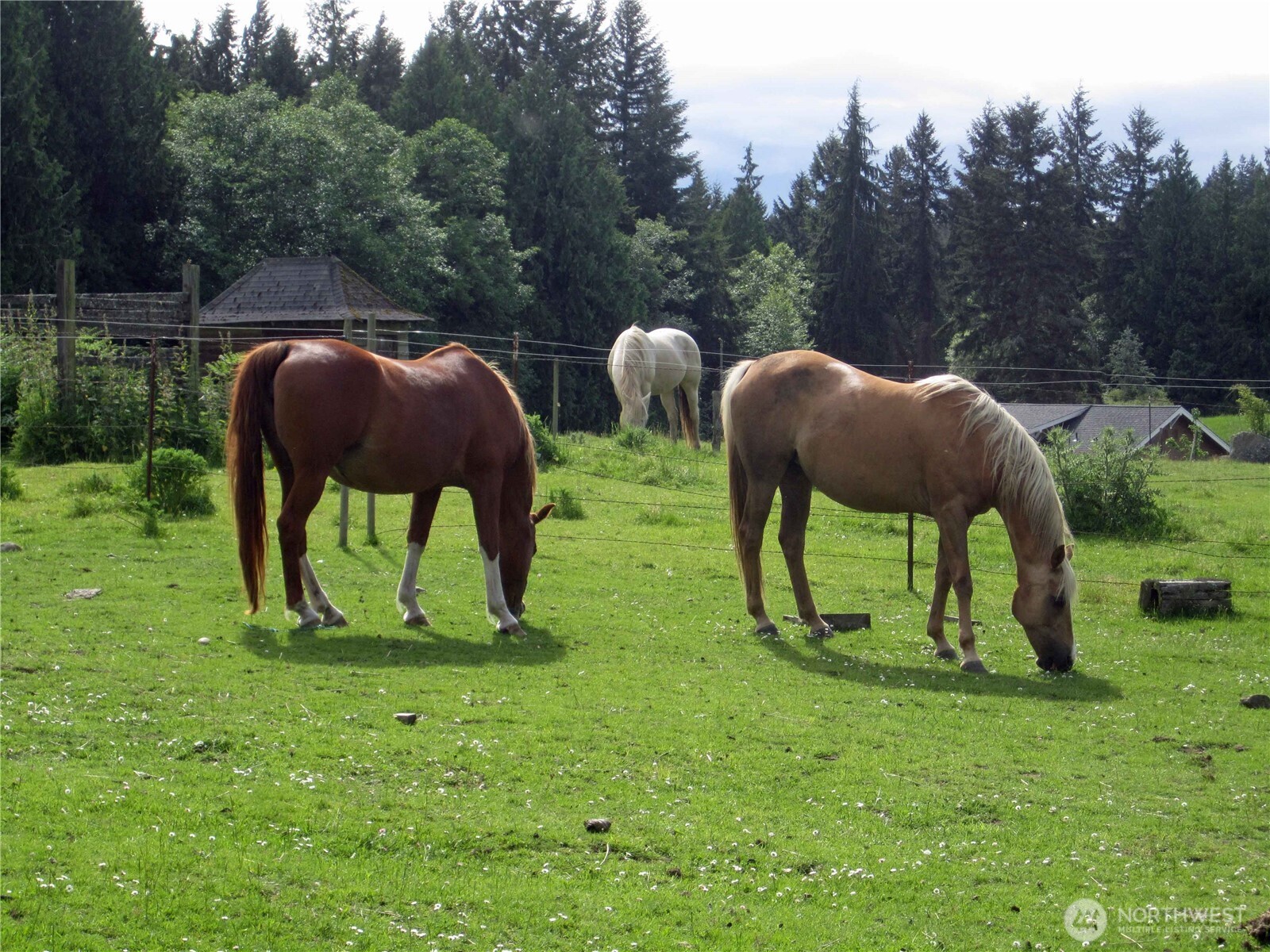 6255 Turkey Hill Road Clinton WA 98236