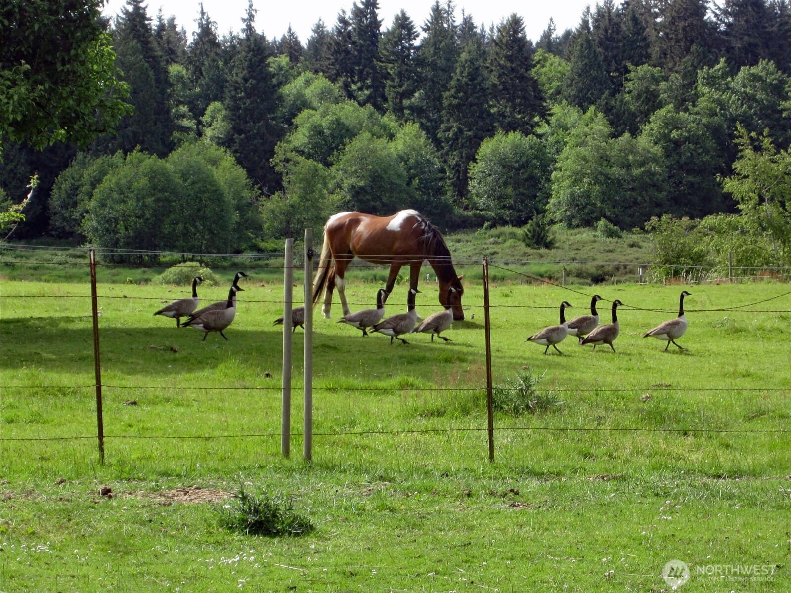 6255 Turkey Hill Road Clinton WA 98236
