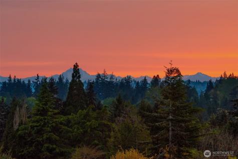 1032 89th Avenue NE Bellevue WA 98004