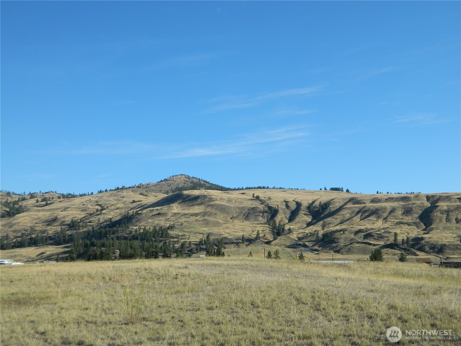 10 Sorona Way Tonasket WA 98855