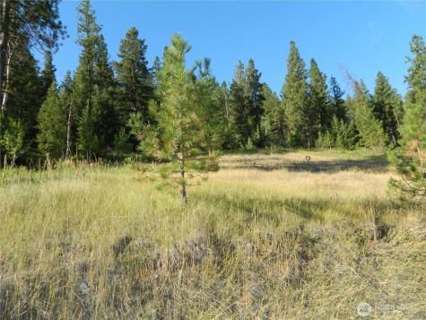 10 Sorona Way Tonasket WA 98855