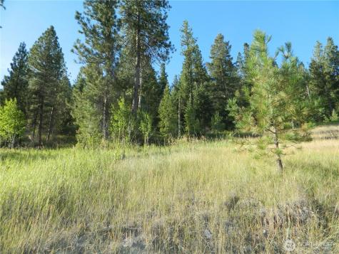 10 Sorona Way Tonasket WA 98855