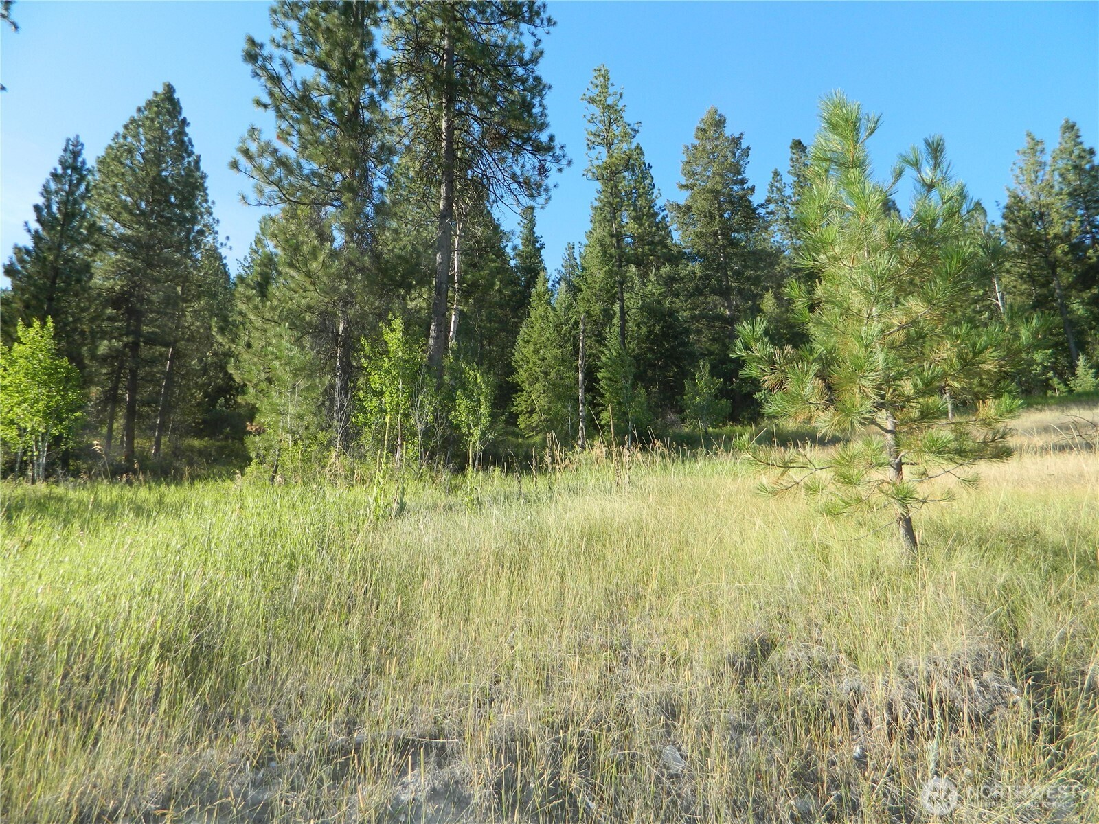 10 Sorona Way Tonasket WA 98855