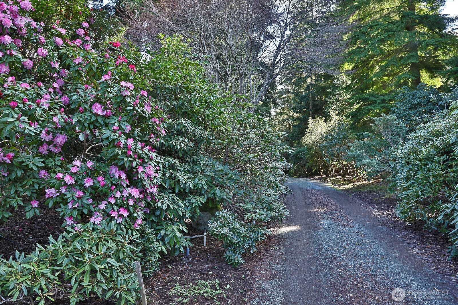 2970 Smugglers Cove Road Greenbank WA 98253