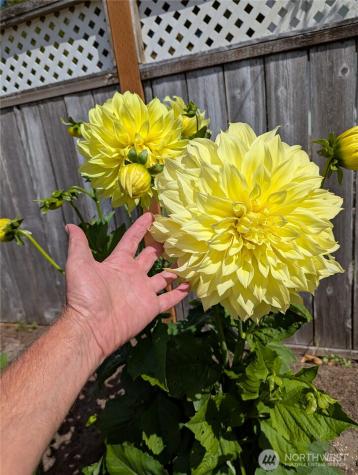 32216 T Place Ocean Park WA 98640